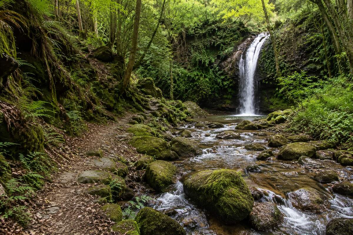 El Valle del Pas: cascadas, bosques y naturaleza a 20 minutos del hotel